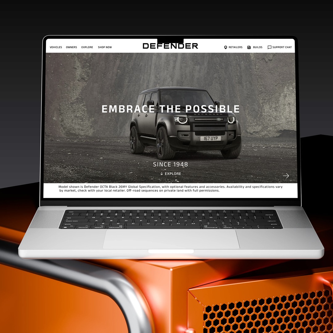 haneen defender work 1